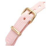 Daniel Wellington Quadro Pressed Mother of Pearl Pink Dial Pink Nylon Strap Watch For Women - DW00100509 Buy Now By Daniel Wellington