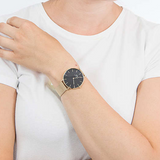 Daniel Wellington Petite Evergold Black Dial Gold Mesh Strap Watch For Women - DW00100345 Buy Now By Daniel Wellington