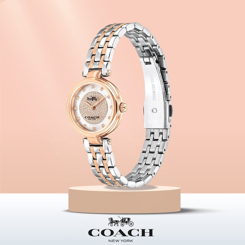 Coach Park Silver Dial Two Tone Steel Strap Watch for Women - 14503642 Buy Now By Coach