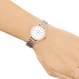 Coach Delancey White Dial Rose Gold Steel Strap Watch for Women - 14502783 Buy Now By Coach