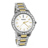 Fossil Jesse Crystals White Dial Two Tone Steel Strap Watch for Women - ES2409 Buy Now By Fossil