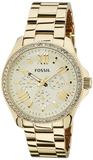 Fossil Cecile Chronograph Gold Dial Gold Steel Strap Watch for Women - AM4482 Buy Now By Fossil