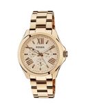 Fossil Cecile Rose Gold Dial Rose Gold Steel Strap Watch for Women - AM4511 Buy Now By Fossil