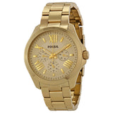 Fossil Cecile Multifunction Champagne Dial Gold Steel Strap Watch for Women - AM4510 Buy Now By Fossil