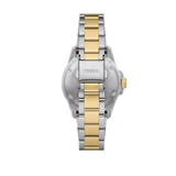 Fossil Blue Dive Three Hand Black Dial Two Tone Steel Strap Watch For Women - ES5349 Buy Now By Fossil