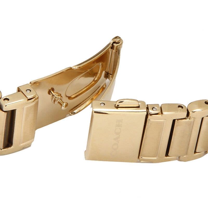 Coach Sport Diamonds Gold Dial Gold Steel Strap Watch for Women - 14502195 Buy Now By Coach