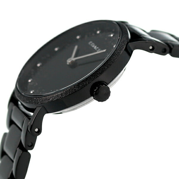 Coach Perry Black Ion Plated Dial Black Steel Strap Watch for Women - 14503641 Buy Now By Coach