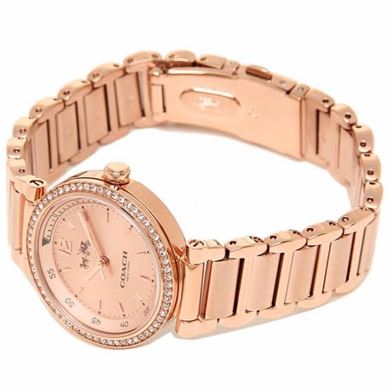 Coach Sports Rose Gold Dial Rose Gold Steel Strap Watch for Women - 14502200 Buy Now By Coach