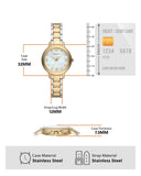 Emporio Armani Cleo Three Hand Mother of Pearl Dial Two Tone Steel Strap Watch for Women - AR11513 Buy Now By Emporio Armani