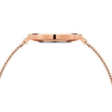 Daniel Wellington Petite Rose Gold Dial Rose Gold Mesh Bracelet Watch For Women - DW00100470 Buy Now By Daniel Wellington