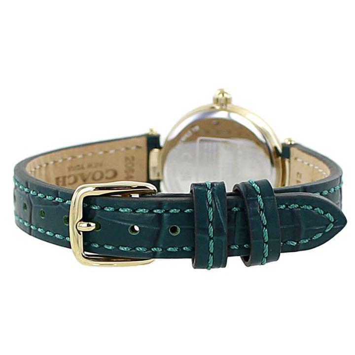 Coach Park Analog Green Dial Green Leather Strap Watch for Women - 14503534 Buy Now By Coach