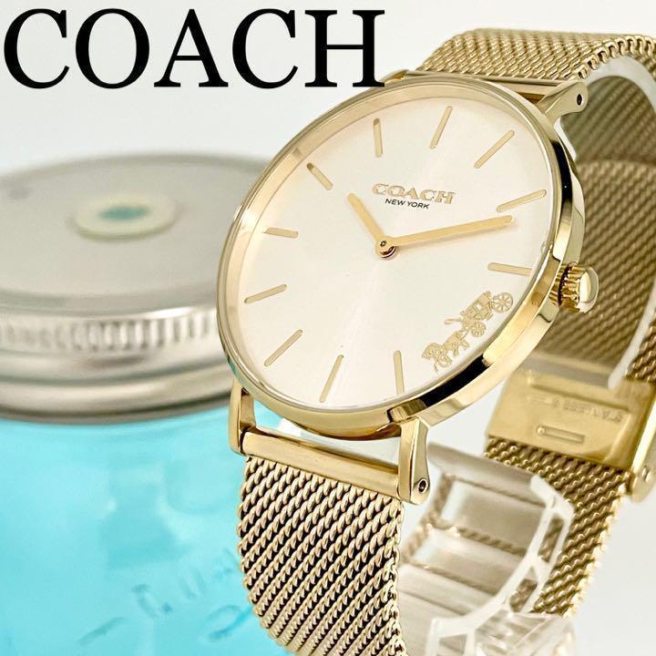 Coach Perry White Dial Gold Mesh Bracelet Watch for Women - 14503125 Buy Now By Coach