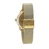 Maserati Epoca Mother of Pearl Dial Yellow Gold Mesh Strap Watch For Women - R8853118502 Buy Now By Maserati