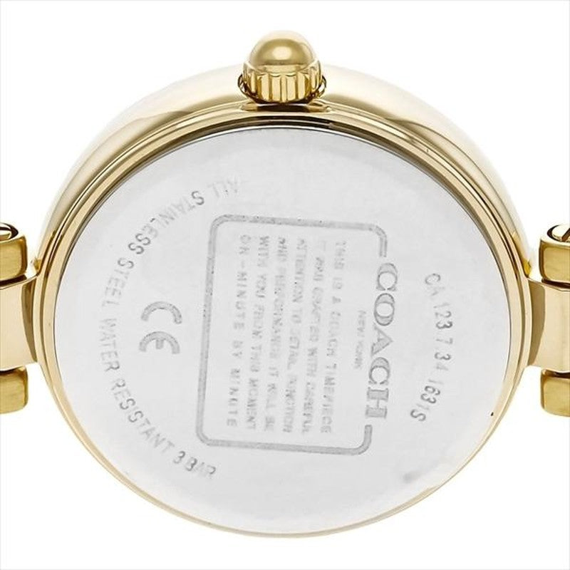 Coach Park Diamonds Gold Dial Gold Steel Strap Watch for Women - 14503171 Buy Now By Coach