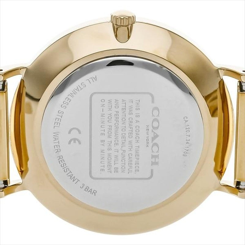 Coach Perry Silver Dial Gold Mesh Bracelet Watch for Women - 14503385 Buy Now By Coach