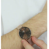 Daniel Wellington Petite Amber Brown Dial Rose Gold Mesh Strap Watch for Women - DW00100478 Buy Now By Daniel Wellington