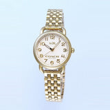 Coach Delancey White Dial Gold Steel Strap Watch for Women - 14502241 Buy Now By Coach