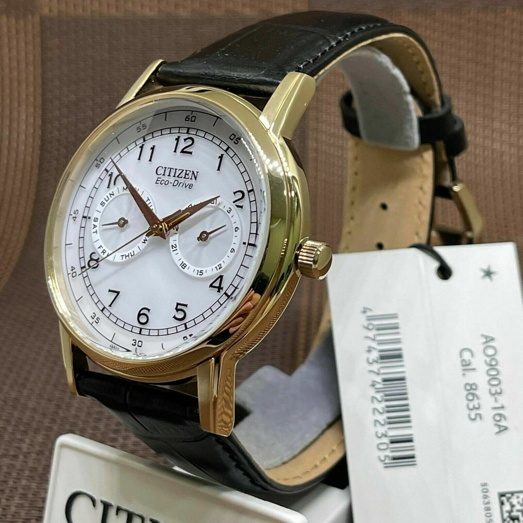Citizen Watch Eco Drive Day & Date White Dial Black Leather Strap Watch For Men - AO9003-16A Buy Now By Citizen