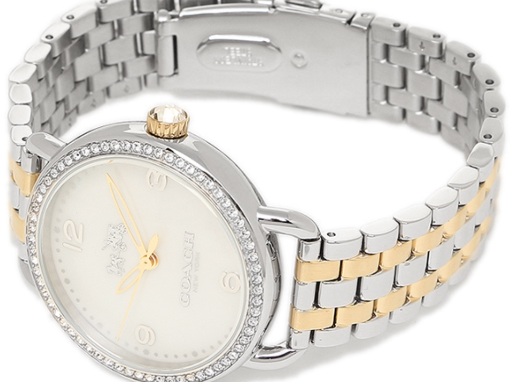 Coach Delancey Mother of Pearl White Dial Two Tone Steel Strap Watch for Women - 14502480 Buy Now By Coach