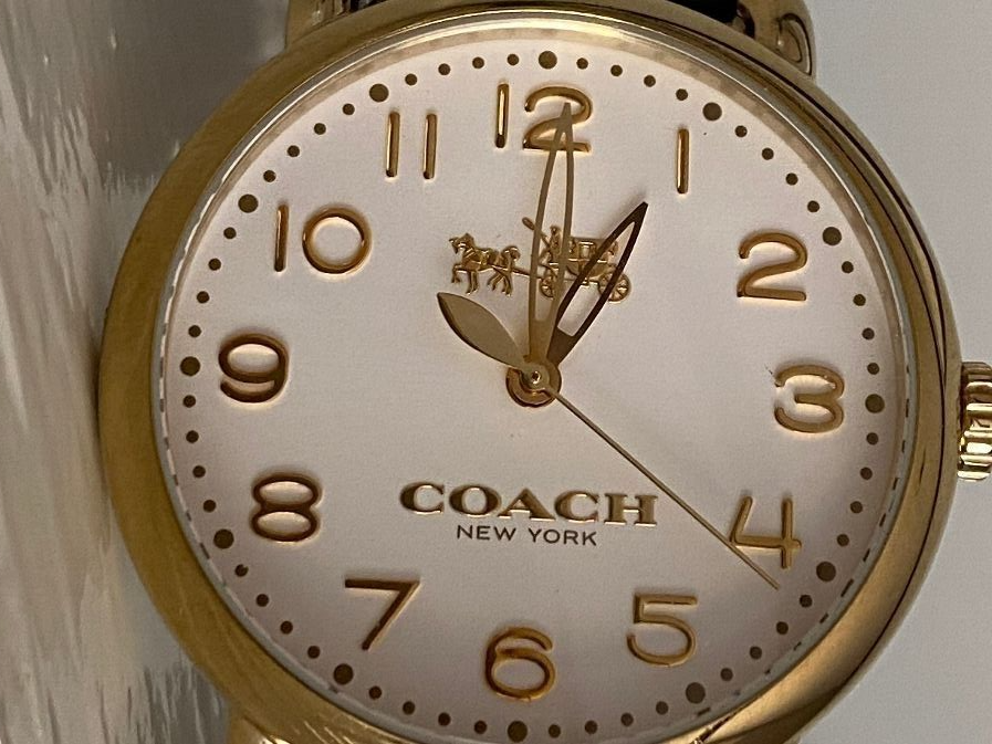 Coach Delancey White Dial Brown Leather Strap Watch for Women - 14502715 Buy Now By Coach