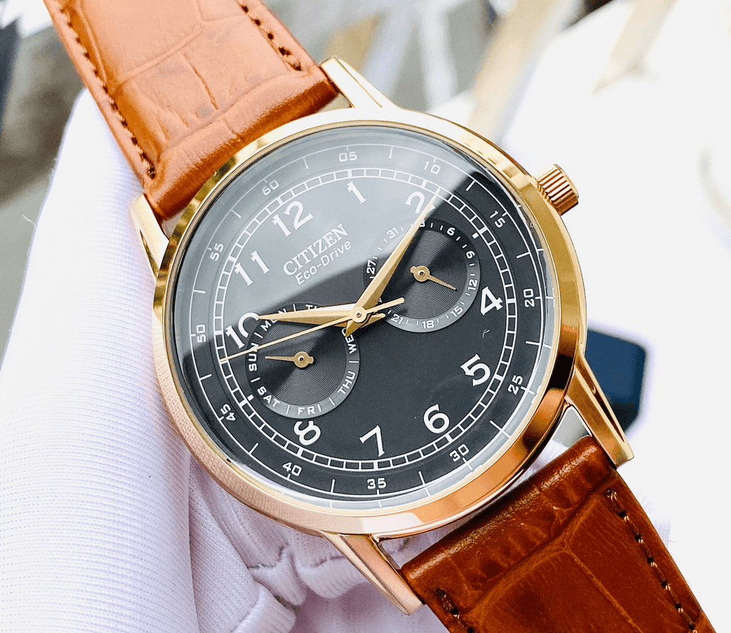 Citizen Eco Drive Multi Function Day & Date Black Dial Brown Leather Strap Watch For Men - AO9003-08E Buy Now By Citizen