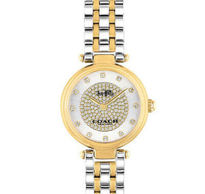 Coach Park Silver Dial Two Tone Steel Strap Watch for Women - 14503643 Buy Now By Coach