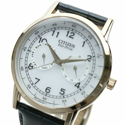 Citizen Watch Eco Drive Day & Date White Dial Black Leather Strap Watch For Men - AO9003-16A Buy Now By Citizen