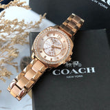 Coach Mini Boyfriend Rose Gold Dial Rose Gold Steel Strap Watch for Women - 14501701 Buy Now By Coach