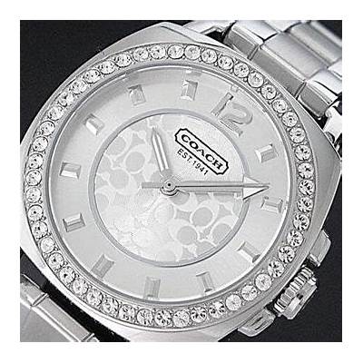 Coach Mini Boyfriend Diamonds Silver Dial Silver Steel Strap Watch for Women - 14501699 Buy Now By Coach