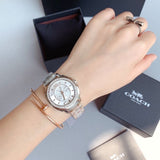 Coach Mini Boyfriend Diamonds Silver Dial Silver Steel Strap Watch for Women - 14501699 Buy Now By Coach