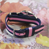 Daniel Wellington Classy Winchester White Dial Two Tone NATO Strap Watch For Women - DW00100081 Buy Now By Daniel Wellington