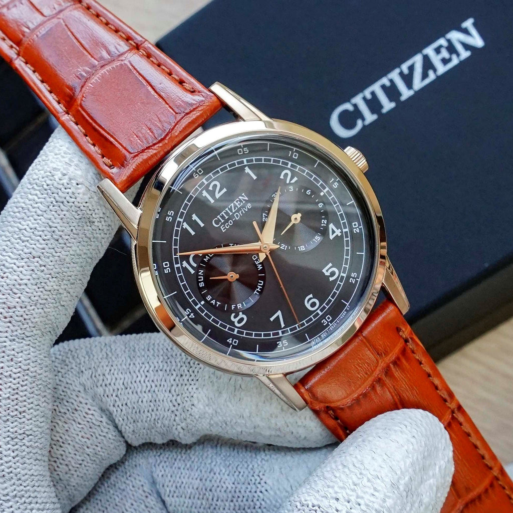 Citizen Eco Drive Multi Function Day & Date Black Dial Brown Leather Strap Watch For Men - AO9003-08E Buy Now By Citizen