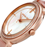 Michael Kors Cinthia Mother of Pearl Rose Gold Dial Rose Gold Steel Strap Watch for Women - MK3643 Buy Now By Michael Kors