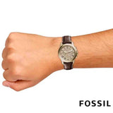 Fossil Grant Chronograph Brown Dial Brown Leather Strap Watch for Men - FS5214 Buy Now By Fossil