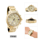 Tommy Hilfiger Claudia Gold Dial Gold Steel Strap Watch for Women - 1781821 Buy Now By Tommy Hilfiger