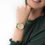 Tommy Hilfiger Jenna Quartz White Dial Gold Mesh Bracelet Watch For Women - 1781943 Buy Now By Tommy Hilfiger