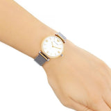 Emporio Armani Gianni T Bar Mother of Pearl Dial Silver Mesh Bracelet Watch For Women - AR2068 Buy Now By Emporio Armani