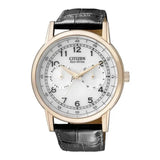 Citizen Watch Eco Drive Day & Date White Dial Black Leather Strap Watch For Men - AO9003-16A Buy Now By Citizen