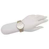 Coach Perry Quartz Silver Dial Brown Leather Strap Watch for Women - 14503326 Buy Now By Coach