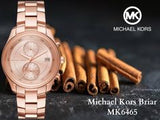 Michael Kors Briar Quartz Rose Gold Dial Rose Gold Steel Strap Watch For Women - MK6465 Buy Now By Michael Kors