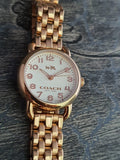 Coach Delancey White Dial Rose Gold Steel Strap Watch for Women - 14502242 Buy Now By Coach