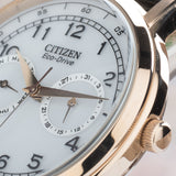 Citizen Watch Eco Drive Day & Date White Dial Black Leather Strap Watch For Men - AO9003-16A Buy Now By Citizen