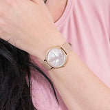 Emporio Armani Kappa Quartz Mother of Pearl Taupe Dial Brown Leather Strap Watch For Men - AR11151 Buy Now By Emporio Armani