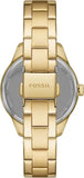 Fossil Rye Automatic Skeleton Gold Dial Gold Steel Strap Watch for Women - BQ3755 Buy Now By Fossil