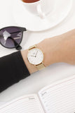Daniel Wellington Classic Petite White Dial Gold Mesh Bracelet Watch For Women - DW00100348 Buy Now By Daniel Wellington