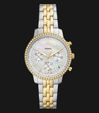 Fossil Neutra Chronograph Mother of Pearl White Dial Two Tone Steel Strap Watch for Women - ES5216 Buy Now By Fossil