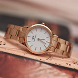 Daniel Wellington Iconic Link White Dial Rose Gold Steel Strap Watch for Women - DW00100213 Buy Now By Daniel Wellington