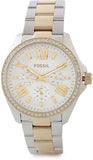 Fossil Cecile White Dial Two Tone Steel Strap Watch for Women - AM4543 Buy Now By Fossil