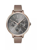 Hugo Boss Symphony Grey Dial Gold Mesh Bracelet Watch for Women - 1502424 Buy Now By Hugo Boss