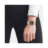 Hugo Boss Novia Brown Dial Two Tone Steel Strap Watch for Women - 1502617 Buy Now By Hugo Boss